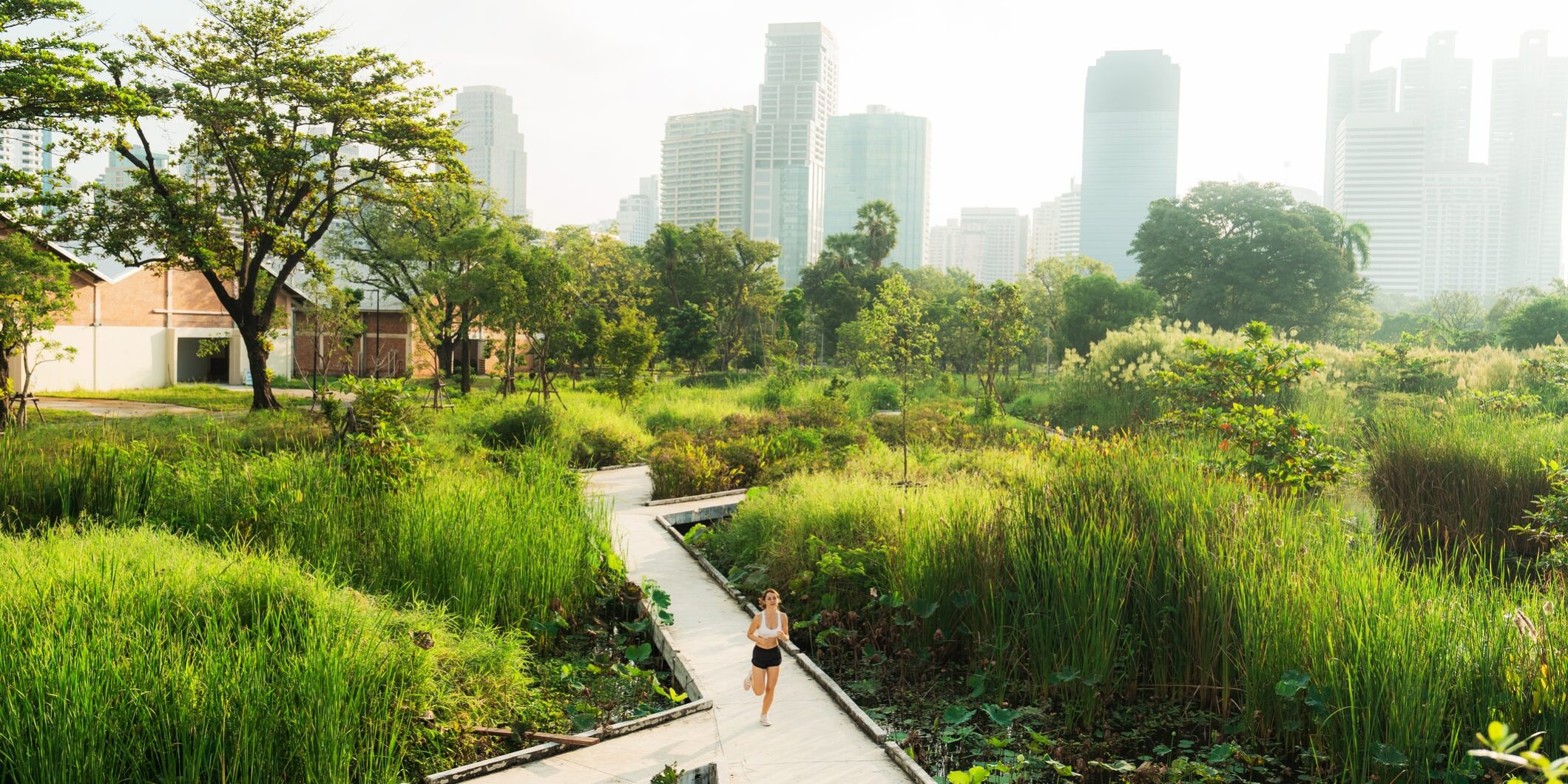 Sustainable Solutions for inflow and infiltration