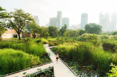 Sustainable Solutions for inflow and infiltration