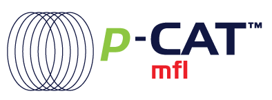 magnetic flux leakage